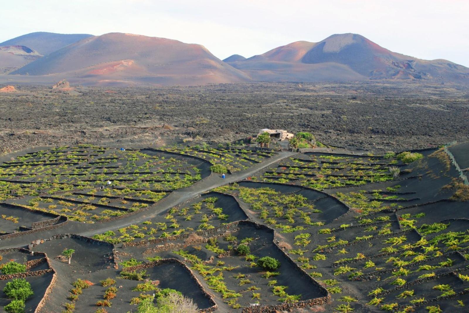 Casa Rural Vega De Timanfaya Uga Exterior foto